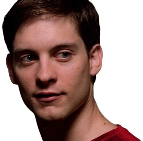 Spider Man Peter Parker Png Tobey Maguire By Vegpngs On Deviantart