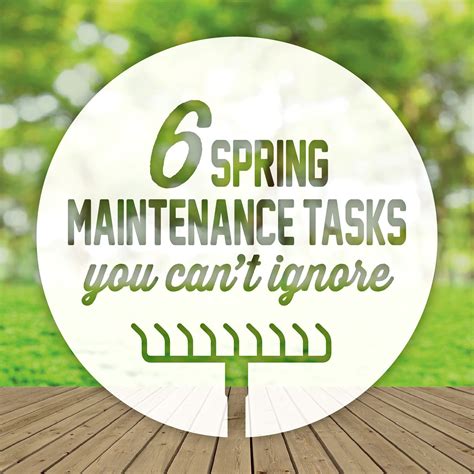 6 Spring Maintenance Tasks You Cant Ignore Spring Spring Is Here