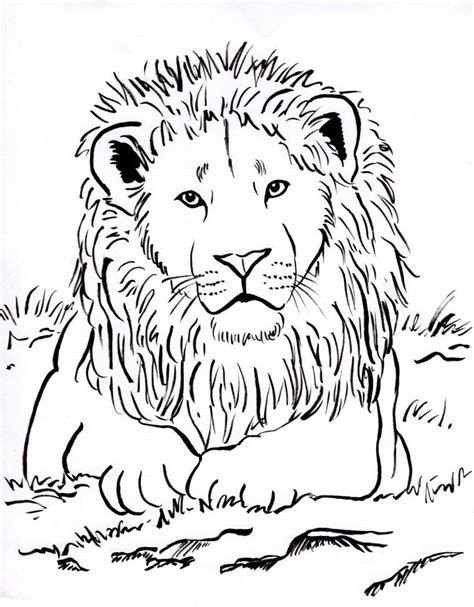 Select from 35653 printable crafts of cartoons. Week 3 Upside Down lots of animal coloring pages lion ...