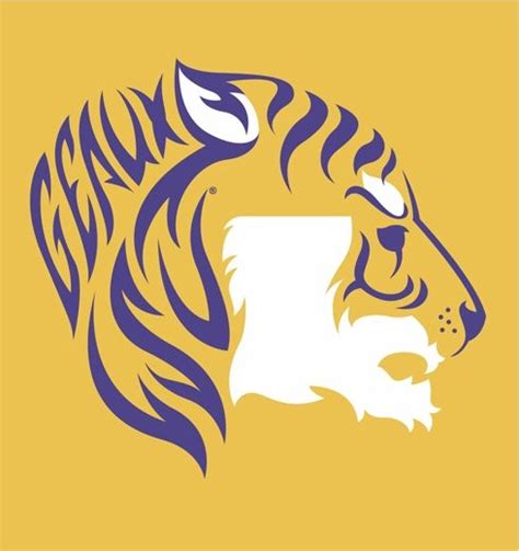 Pin By Kayla Poore On Diy Home Decor Pinterest Lsu Tigers And