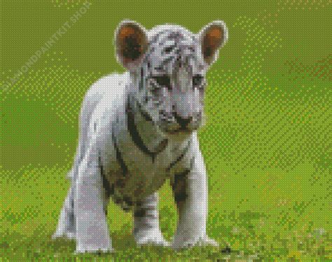 White Tiger Cub Diamond Painting Diamondpaintkitshop