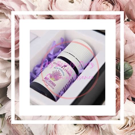 Wild Lavender Young Living 5ml Shopee Malaysia