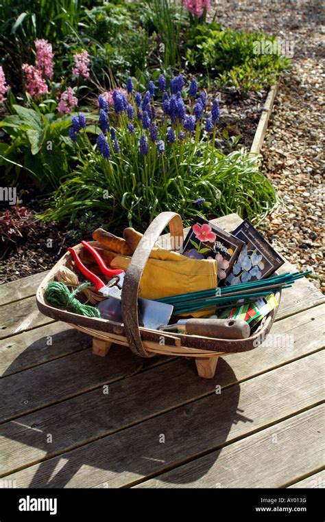 Garden Tools And Wooden Trug Containing Gardening Implements Stock