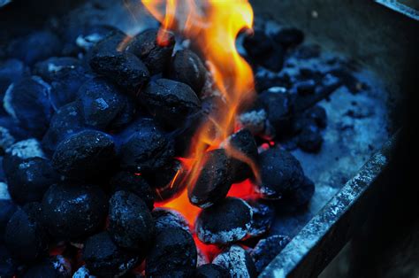 Free Images Food Produce Barbeque Flame Fire Blue Barbecue