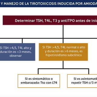 EFECTOS DE LA AMIODARONA SOBRE EL METABOLISMO DE LAS HORMONAS TIROIDEAS Download Scientific