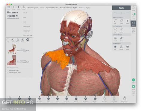 One last free anatomy app for mac every medical student can benefit from is grays anatomy student edition. Download Complete Anatomy 2018 for Mac