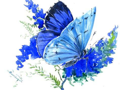 Blue Butterfly Artwork Butterfly Painting Blue Sky Blue Artwork Blue