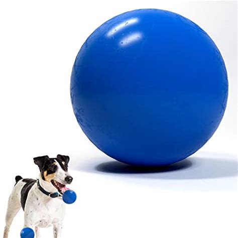 Find The Best Indestructible Large Dog Balls 2023 Reviews