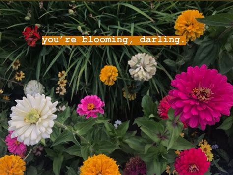 Bloom Bloom Darling Remember