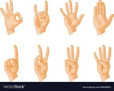 Hands Deaf Mute Different Gestures Human Arm Vector Image