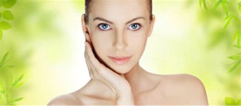 Benefits of Wheatgrass Powder - INLIFE Healthcare