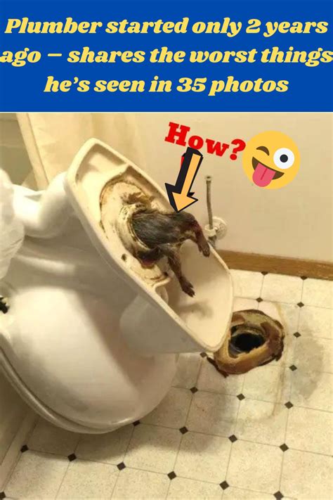 Plumber Started Only 2 Years Ago Shares The Worst Things Hes Seen In 35 Photos Funny Funny