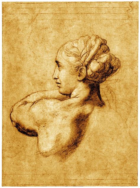 Head Of A Woman Raphael 1517 Drawings Sketches Renaissance Art