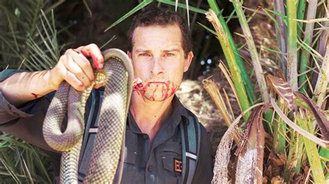 Bear grylls for the british channel 4 and broadcast as man vs. Top 5 Momentos REPUGNANTES De Bear Grylls - YouTube