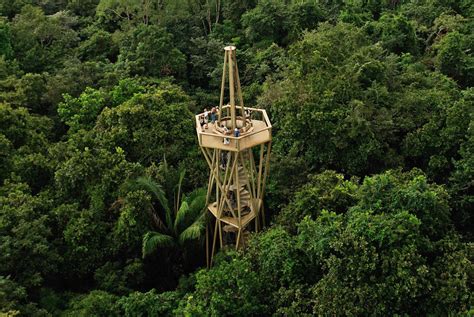Centro De Visitantes Selva De Panamá Ensitu Archdaily México
