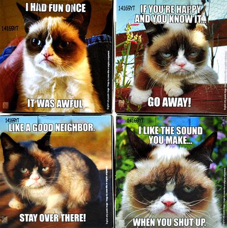 Grumpy Cat Collection