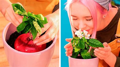50 incredible gardening hacks you ll find extremely useful gardening