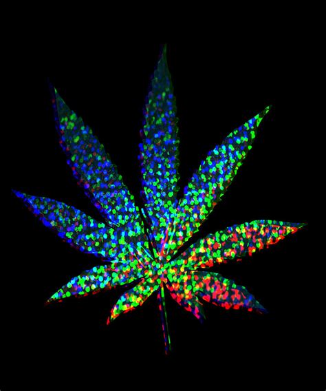 Cannabis Rainbow Design 69 Digital Art By Kaylin Watchorn