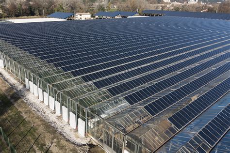 Photovoltaic Greenhouse And Agricultural Photovoltaic Greenhouse Cve