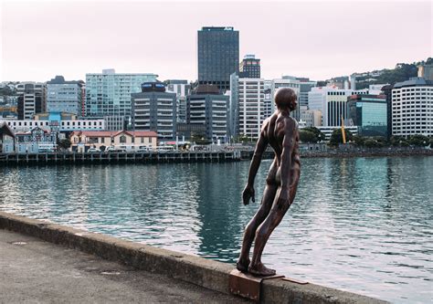 50 Free Things To Do In Wellington All Free Activities