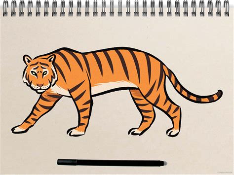 Tiger malen Schritt für Schritt Anleitung mit Bildern Tiger zeichnen