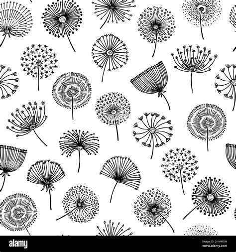 Floral Dandelion Black Dandelions Graphic Abstract Flowers Natural