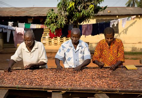 Modern Slavery In The Cocoa Sector New Food Magazine