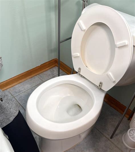 How To Install A Clamp On Raised Toilet Seat Without Tools Equipmeot