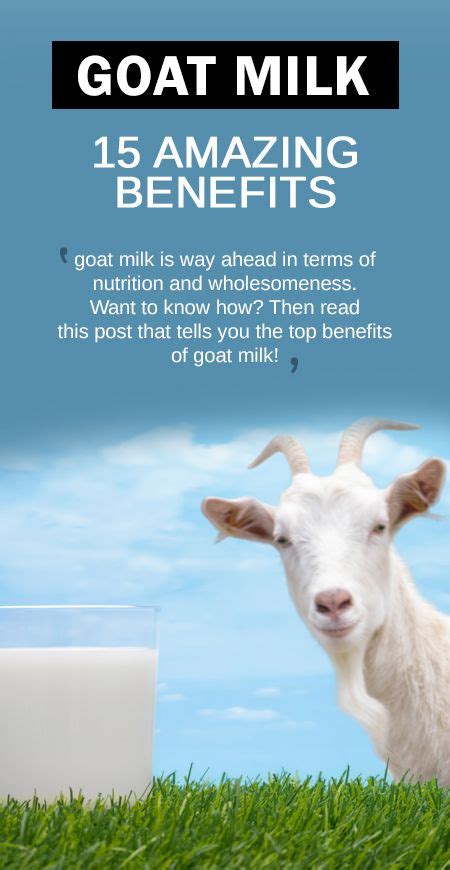 It has a high digestibility than any other type of milk( 1 ). Goat Milk: Health Benefits And Why It Could Be Better Than ...