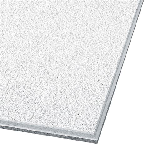 Armstrong Ceilings Common 48 In X 24 In Actual 47735 In X 23735