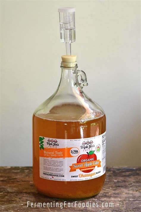 How To Make Hard Apple Cider From Juice Fermenting For Foodies