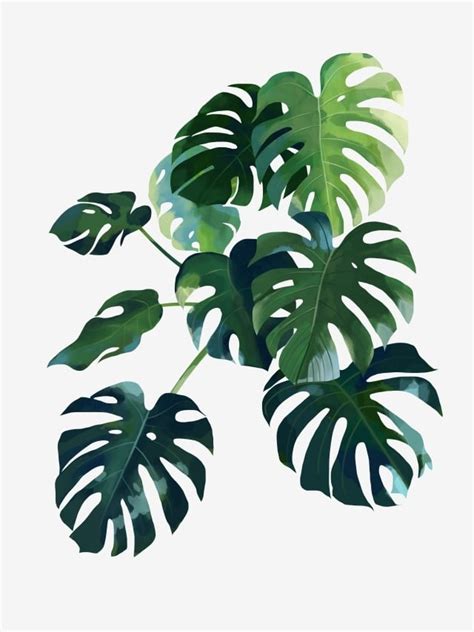Na naszym blogu będziemy przedstawiać to, co lubimy najbardziej czyli. Nordic Home Present Decoration Green Plant, Monstera, Leaf ...