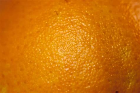 Orange Skin Texture Stock Photos Royalty Free Orange Skin Texture