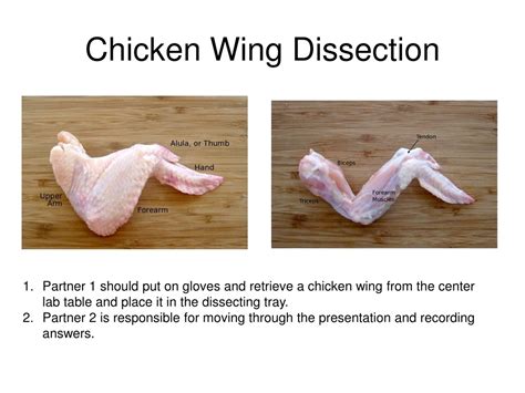Ppt Chicken Wing Dissection Powerpoint Presentation Free Download Id 9211020