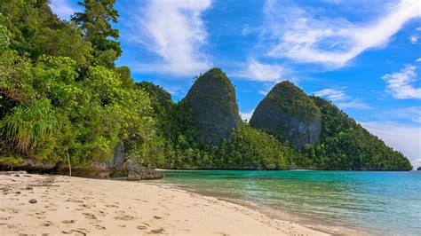 Beach Sand Green Plants Bushes Trees On Rocks Mountains Under White