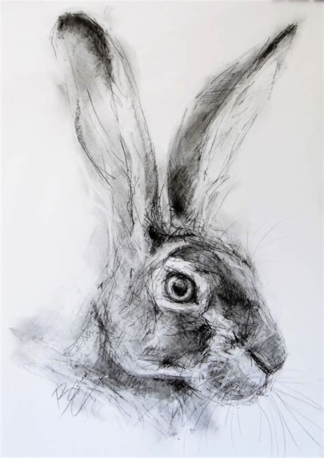 Original A3 Charcoal Drawing Of A Hare By Animal Artist Belinda Elliott