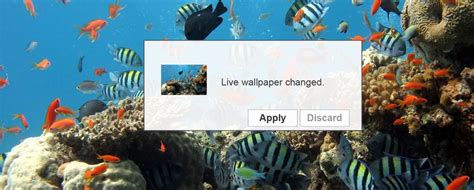 How do i get live wallpapers on windows 10? How to Set Live Wallpapers & Animated Desktop Backgrounds ...
