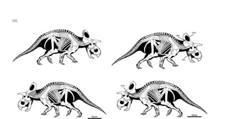 Paleontologists Unveil New Herbivore Dinosaur Found In New Mexico