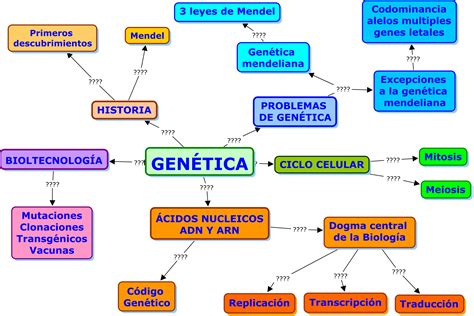 Mapa Mental De Genetica Yalearn