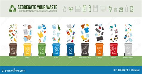 Waste Segregation And Recycling Infographics Vector I Vrogue Co