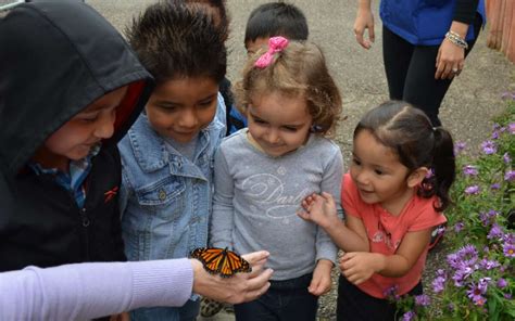 Students Help Monarchs Take Flight