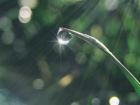 Water Drop Shine In Sun Light Photo Hd Photos Unsplash