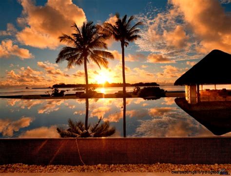 Paradise Sunset Wallpaper Wallpapers Gallery