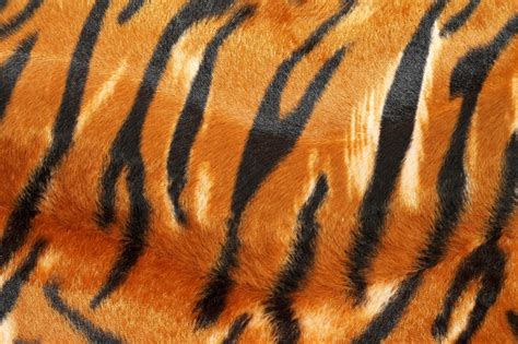 Tiger Pattern In Hd Tiger Stripes Stripe Print Animal Print Wallpaper