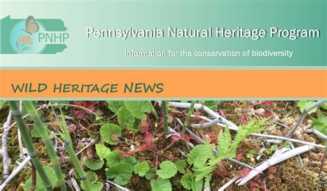 Pa Environment Digest Blog Latest Pa Natural Heritage Program