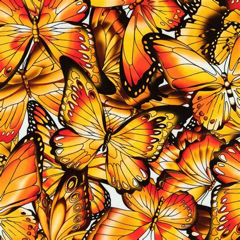 Fabric Butterflies Wings Monarch On White Digital Kaufman Cotton 1 4 Yard 8130 Ebay