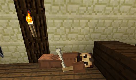 We did not find results for: Spigot - Armor Stand Editor | Page 7 | SpigotMC - High ...