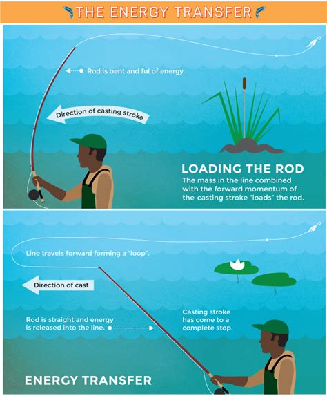 An Introduction To Basic Fly Casting Fly Fishing Tips Fly Fishing