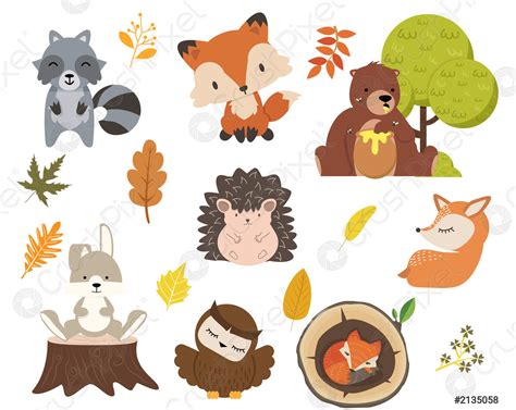 画像をダウンロード In Forest Animals 733738 Adaptation In Forest Animals