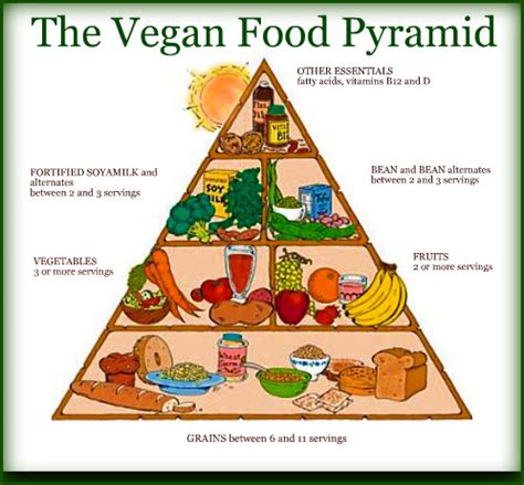 The latest ones are on jul 01, 2021 Vegan Food Pyramid * Vegan Power Plate